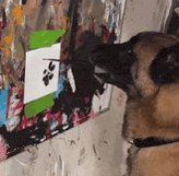 The image features a brown dog with its mouth open, looking at a colorful painting of a monkey and an elephant. The painting has been done using spray paint, which gives it a vibrant and lively appearance. The background of the painting appears to be white, making the colors stand out even more. The post includes text that reads "Monkey and I are excited to see a community rally around us on PumpFun...I am receiving the creator fees and plan to use a portion to help support this community long term with buybacks and locks."