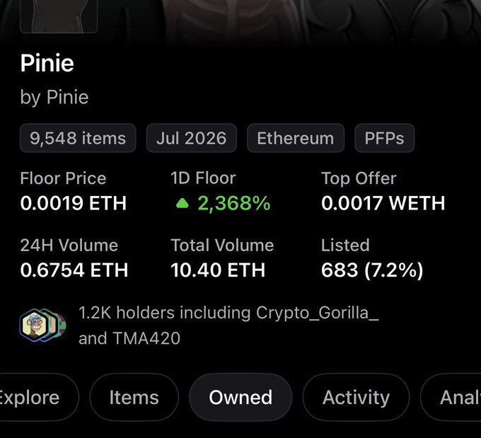 A screenshot of an NFT collection page titled "Pinie by Pinie" showing 9,548 items on Ethereum (PFPs), with a floor price of 0.0019 ETH, 1D floor up 2,368%, 24H volume of 0.6754 ETH, total volume of 10.40 ETH, and 1.2K holders including Crypto_Gorilla_ and TMA420.