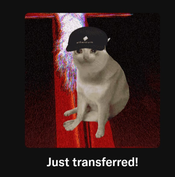 A white cat wearing a black "ethereum" cap sits on a red chair against a grainy red backdrop, with the caption "Just transferred!" below—tying into the post's promotion of a cashcat NFT giveaway on Robinhood Chain.