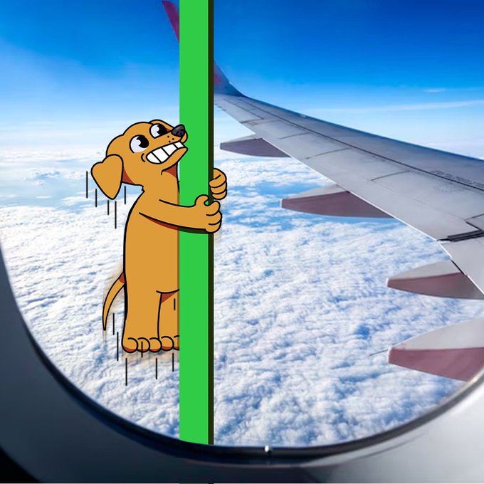 A cartoon illustration of a grinning brown dog clinging to a green pole outside an airplane window, with clouds and a wing visible below.