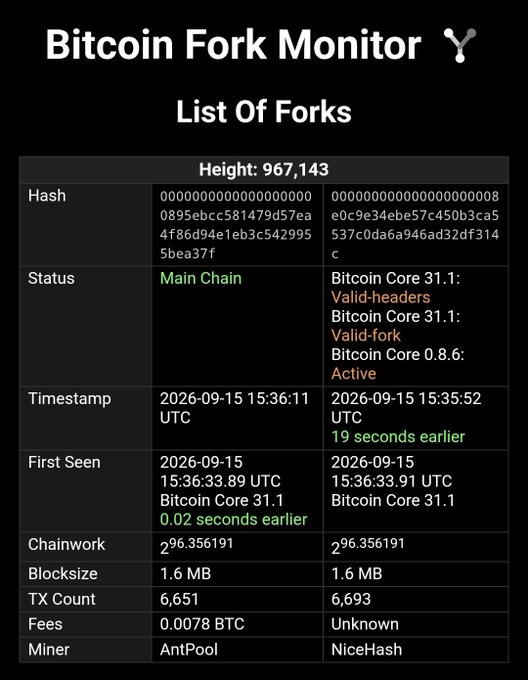 A Bitcoin Fork Monitor webpage displays a list of forks comparing two block headers at height 967,143, noting that Bitcoin Core 0.8.6 is 'Active' while 31.1 versions are 'Valid-fork' with a timestamp 19 seconds earlier.