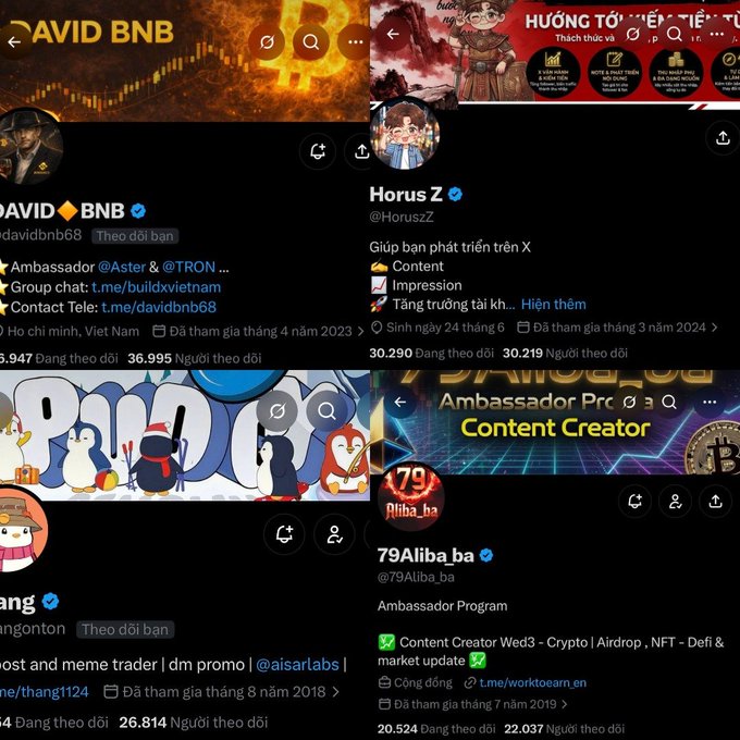 Collage of four crypto-related Twitter/X profiles including DAVID BNB, Horus Z, a penguin-themed account, and 79Aliba.ba listed as an Ambassador Program content creator.
