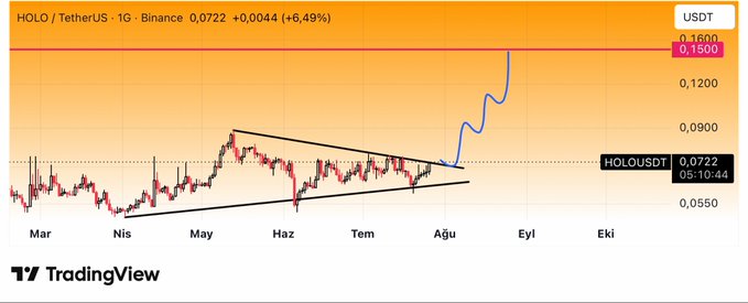 A TradingView chart of HOLO/USDT on Binance shows a 6.49% gain to 0.0722 USDT, with a symmetrical triangle pattern broken to the upside by a blue arrow signaling a breakout. The caption highlights the bullish chart setup labeled as "Nice chart" in the accompanying post.