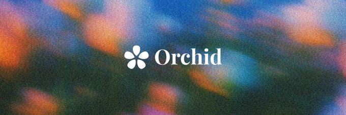 A logo for 'Orchid' with a stylized flower icon, displayed over a blurred, colorful background.