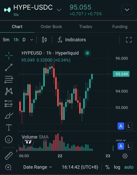 A trading chart for HYPE-USDC showing a price of 95.055 (+0.75%) with 1-hour candlesticks displayed on a dark interface.