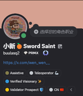 A Discord profile card for '小新 Sword Saint' (buulasg2, PRMX) displays role options including Assistive, Teleoperator, Verified Visionary, and Validator Prospect, with a Chinese flag indicating region selection.