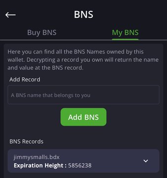 A mobile app screen titled 'BNS' showing the 'My BNS' tab with an 'Add BNS' button and a record for 'jimmysmalls.bdx' with expiration height 5856238.
