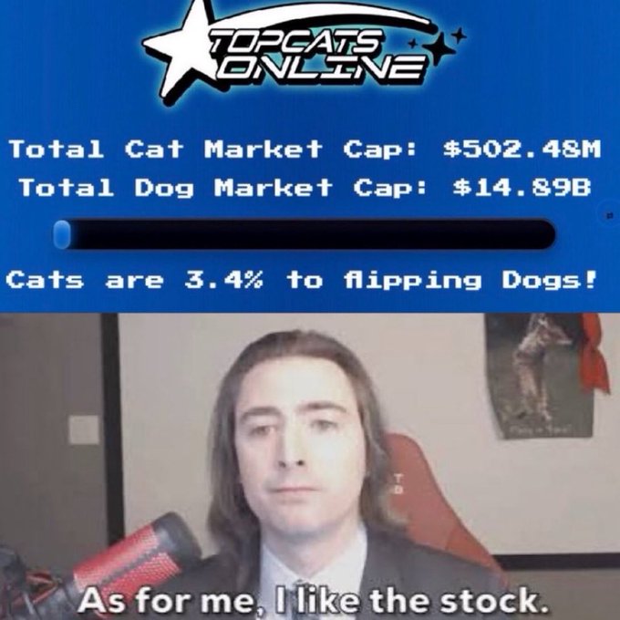 A man in a suit sits before a "TOPCATS ONLINE" chart showing a $502.48M cat market cap and $14.89B dog market cap, with text declaring "Cats are 3.4% to flipping Dogs!" and a subtitle reading "As for me, I like the stock." The image humorously backs the post's request for cashback rewards in $CASHCAT and $POPCAT, using the meme to advocate for cat-themed crypto over dog-themed alternatives.