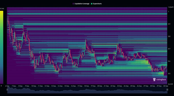 A Coinglass liquidation heatmap chart showing cryptocurrency liquidation leverage and supercharts from September 6 to September 30, with prices ranging from approximately 0.6139 to 1.0247 USDT, displaying volatile price action with significant red and green clusters.