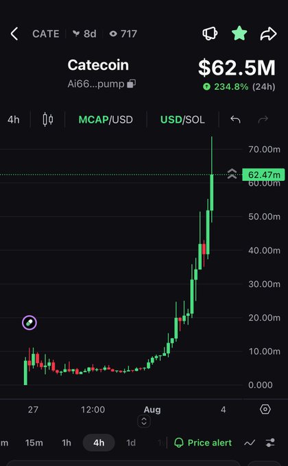 A cryptocurrency chart for Catecoin (CATE) showing a market cap of $62.5M with a 234.8% gain over 24 hours, illustrating a dramatic upward price trend on the MCAP/USD pair. The image accompanies a message about how positivity toward others' success in a bull run leads to profits, while resentment results in missed gains.