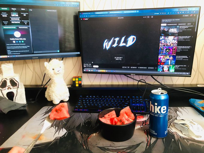A desk setup photo featuring dual monitors (one streaming what appears to be a movie/show, the other displaying a game titled 'WILD'), an alpaca plush toy, a Rubik's cube, a blue 'Shike' energy drink, and a bowl of sliced watermelon.