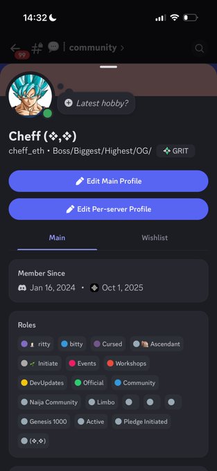 This Discord profile shows "Cheff" with many roles including "Initiate," "Official," and "Community," hinting at active participation in various server activities which relates to the "ritual maxi" concept.