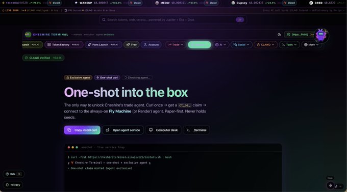 A terminal dashboard webpage titled 'One-shot into the box,' describing a one-shot claim agent for the Cheshire Terminal on the Flare network, with instructions to copy and run a bash command.