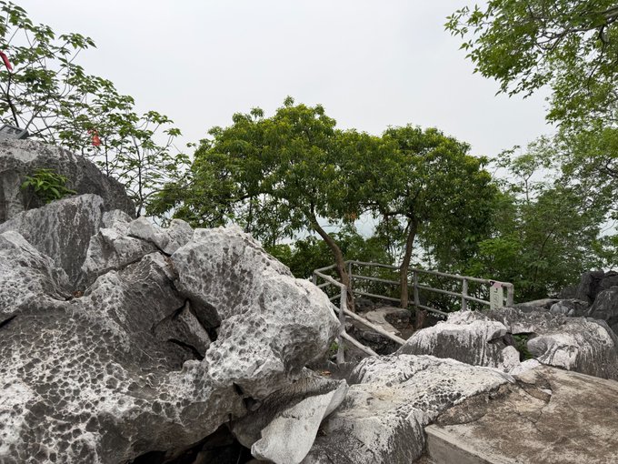 A landscape view shows large, textured white limestone rocks in the foreground with green trees and a wooden railing in the background under an overcast sky.