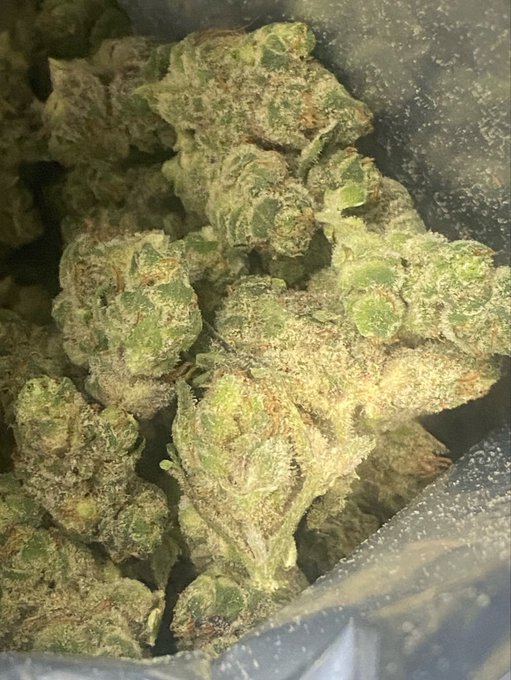 A close-up photograph of green cannabis buds with orange pistils inside a clear plastic bag.