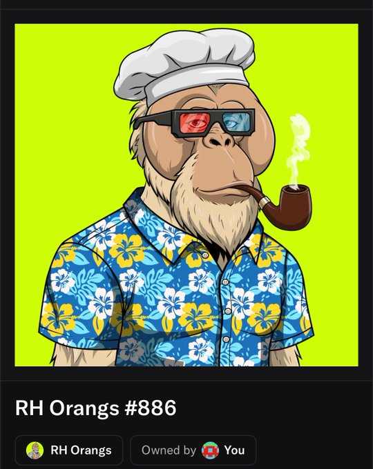 An NFT artwork titled 'RH Orangs #886' featuring a cartoon monkey wearing 3D glasses, a chef's hat, a Hawaiian shirt, and a pipe, owned by the user.