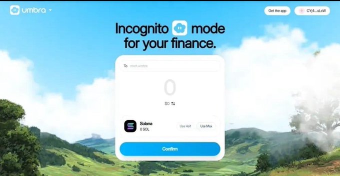 The image shows a screenshot of the Umbra Privacy website with a blue and white interface, featuring the headline "Incognito mode for your finance" and a transaction window displaying 0 SOL (Solana) with "Use Half" and "Use Max" options and a "Confirm" button, illustrating how Umbra helps users make private transactions on Solana's otherwise public blockchain.