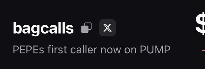 The image shows a promotional banner for "bagcalls" with the tagline "PEPEs first caller now on PUMP," featuring social media icons for copying and X (Twitter), alongside a dollar sign graphic. The banner serves as a boastful example of the account's success in calling early memecoin projects on Pump.fun, contrasting with the poster's frustration at waiting 17 days for verification on the platform.