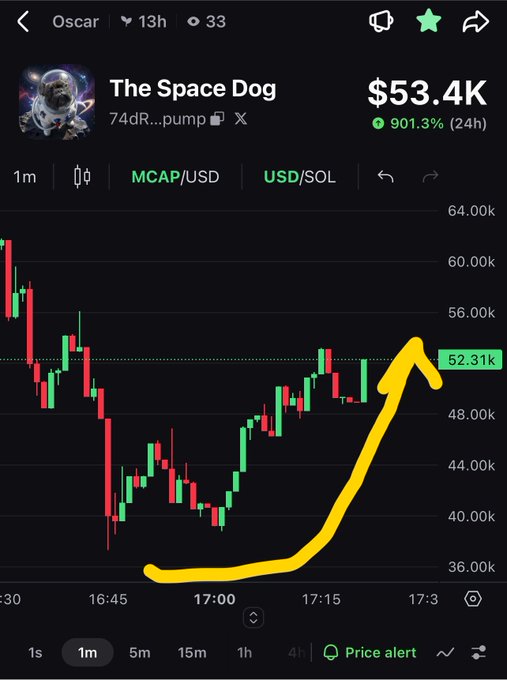 A cryptocurrency trading chart for "The Space Dog" token showing a price of $53.4K with a 901.3% 24h gain, featuring a yellow arrow highlighting a price spike.