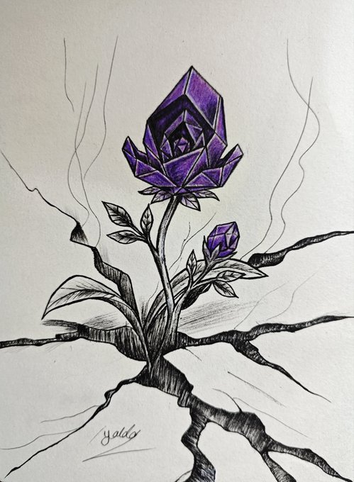 A hand-drawn rose with faceted purple petals growing through cracked black ground, with smaller foliage, a purple bud, smoke-like lines, and the signature “Yololo.”