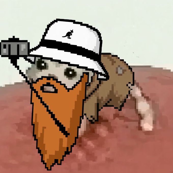 A pixel art illustration of a dog-like character with a large orange beard wearing a white Kangol bucket hat on a Mars-like reddish landscape.