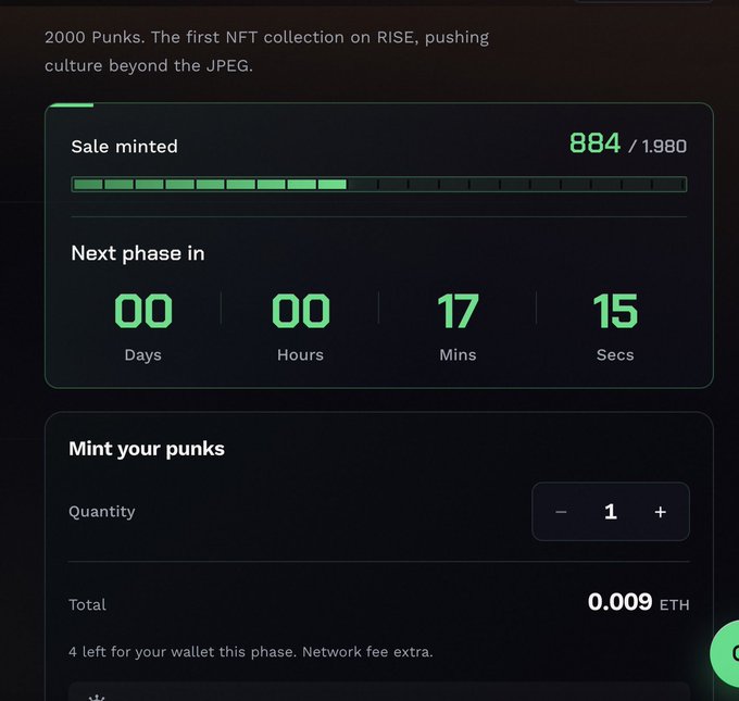 A dark-themed NFT minting page for '2000 Punks. The first NFT collection on RISE, pushing culture beyond the JPEG.' showing 884/1,980 minted, a countdown timer, and a total of 0.009 ETH.