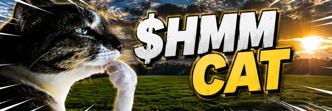 A close-up of a black-and-white cat with striking green eyes appears alongside the bold text "$HMM CAT," fitting as a banner image for the Robinhood token $HMM on Moby, playfully tying the feline theme to the token's branding.