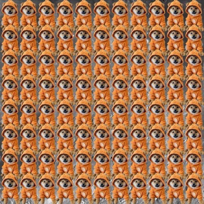 A repeating tiled pattern of a Shiba Inu dog wearing an orange hoodie with "D" on it, arranged in a grid formation.