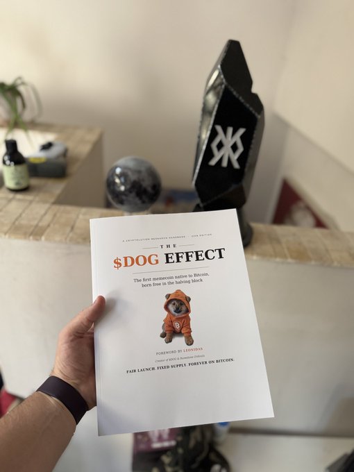A hand holds up a copy of "THE $DOG EFFECT" — labeled "The first memecoin native to Bitcoin, born free in the halving block" with a foreword by Lyn Alden and a tagline "Fair launch. Fixed supply. Forever on Bitcoin" — directly showcasing the newly arrived book in the post, with a decorative "XX" Bitcoin-style sculpture and a moon figurine visible in the background.