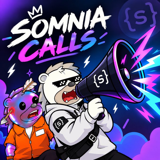 A vibrant cartoon graphic titled 'SOMNIA CALLS' features a bear character wearing pixel sunglasses and a hoodie speaking into a large megaphone branded with '{S}', accompanied by a colorful creature in an orange shirt.