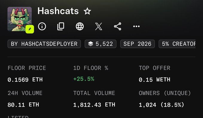 The screenshot shows the Hashcats NFT collection stats on OpenSea, displaying a current floor price of 0.1569 ETH with a notable +25.5% increase in the past 24 hours, alongside 24H volume of 80.11 ETH and 1,024 unique owners. The image illustrates the significant appreciation since the purchase, as the floor has climbed well above the 0.09 ETH buy-in price mentioned in the post, validating the decision as a profitable move.