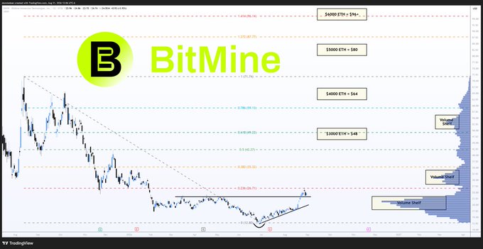 A BitMine (ticker $BMNR) TradingView candlestick chart showing a rounded basing pattern with price levels marked at $12.80, $30, $40, $50, and $59, illustrating the "resistance flips to support" breakout described, alongside a horizontal volume profile chart on the right side.