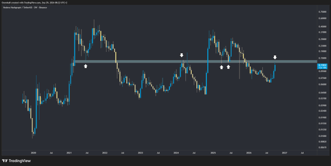 A TradingView weekly candlestick chart of Overall created with TradingView.com for the pair Medanta/Nightingales (SatNH) on NSE, showing price levels from ~0.02040 to ~0.26080 with several white down-arrow markers near a horizontal resistance zone.