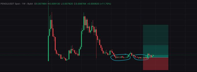 A TradingView chart for PENGU/USDT on Bybit (1W timeframe) showing price action with green and red candlesticks, annotations highlighting consolidation patterns with blue ellipses and a shaded risk/reward zone on the right.