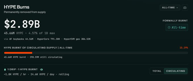 "HYPE Burns" is displayed as the title of a blog or website. The caption shows that $2.89b has been permanently burned and that 45.66m tokens have been removed from circulation, along with 4.57% of maximum supply remaining. There are also 15.29% of circulating real revenue, buybacks, and burns visible on this post's screen.