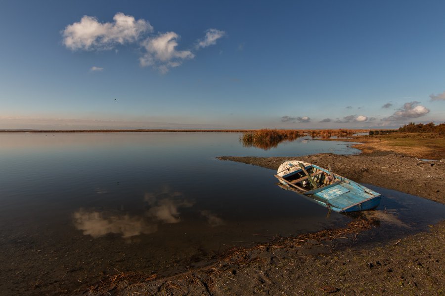 A serene landscape showing a weathered blue wooden boat beached on muddy shore beside a calm lake, with reeds and distant horizon under a blue sky with scattered clouds.