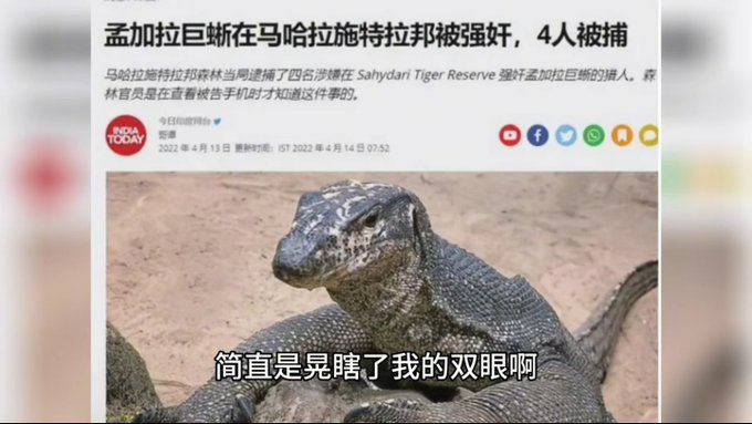 A news article screenshot with Chinese text headlines about a giant monitor lizard being "raped" in Maharastra's Sindhudurg forest, with 4 people arrested, overlaid with a large Komodo dragon image and Chinese subtitles reading "简直是晃瞎了我的双眼啊" (simply dazzling to my eyes), referencing a viral and satirical animal meme story.