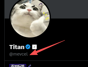 A profile screenshot showing a cat avatar with the username 'Titan' and handle '@mevcel' indicated by a red arrow pointing to the username.