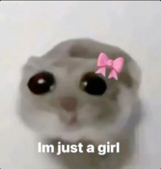 The image features a cartoon cat with big eyes and a pink bow on its head, giving it a cute and endearing appearance. The caption below the image reads "Literally everyone is texting me right now saying they should have listened to me and bought $HYPE when it was cheap ... their wives are filing for divorce, their kids have stopped speaking to them, they're sleeping in their cars". This message seems to be a playful commentary on how people often overlook the value of something that once had great potential. The cat's eyes and bow serve as a visual representation of this idea, with the cat symbolizing the "HYPE" product or trend from earlier times when it was popular but has now faded away.