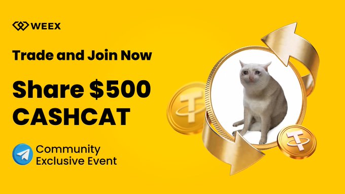 WEEX crypto exchange promotional banner featuring a gray cat illustration surrounded by golden coins and arrows, advertising a "$500 CASHCAT" community-exclusive trading giveaway event.