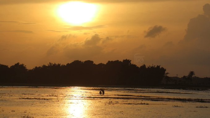 A serene sunset scene over a flooded landscape with two silhouetted figures wading through the shallow water, framed by palm trees and clouds.