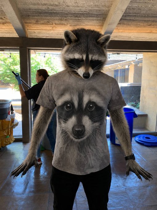 A person wearing a raccoon costume with a raccoon-print t-shirt poses with arms flexed, embodying the post's "Clock in, Lock in, Scavenge, Flex" theme as a crypto mascot. In the background, another person cleans windows inside what appears to be a garage or covered patio area with a blue recycling bin visible.