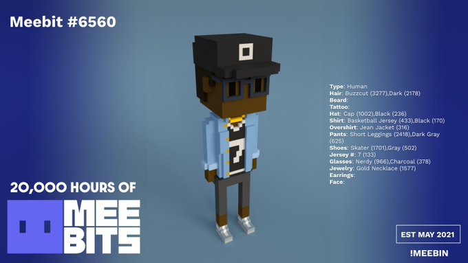 A digital artwork of a 3D voxel-style character named 'Meebit #6560', with the text '20,000 HOURS OF MEEBITS' and a detailed breakdown of its attributes like 'Type: Human', 'Hair: Buzzcut', and 'Earrings' on the right side.