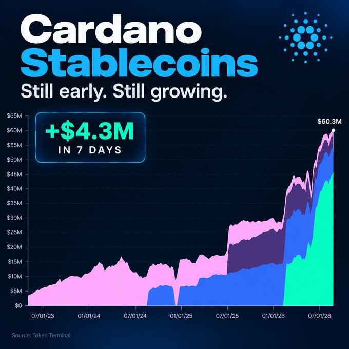 A chart showing Cardano Stablecoins growth with text 'Cardano Stablecoins Still early. Still growing.' and '+$4.3M IN 7 DAYS' highlighting growth to $60.3M, sourced from Token Terminal.