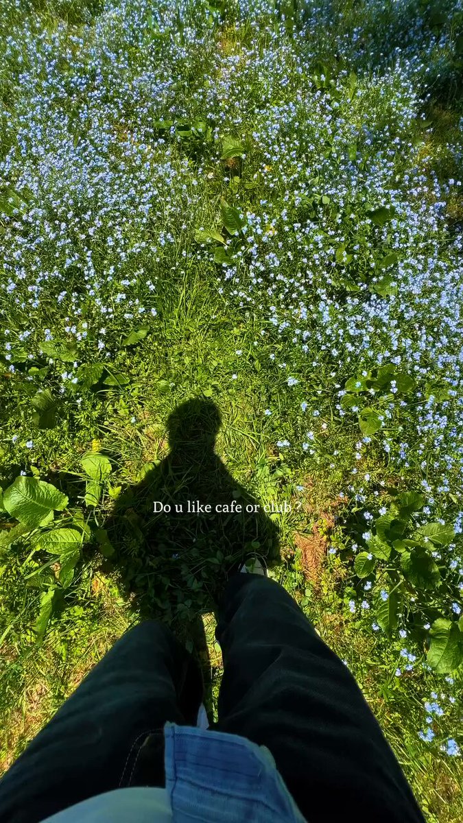 The image shows a person's shadow walking through a field with blue flowers. The person appears to be wearing black pants and a white shirt while they walk along the path. The background features a lush green field filled with blue flowers, creating an overall sense of tranquility and relaxation. The caption for this image reads: "Happy Tuesday Crypto should be not only for rewards or trading but also for real life use. @useTria is working in that direction creating an experience of simply using crypto in shopping, payment and daily life."