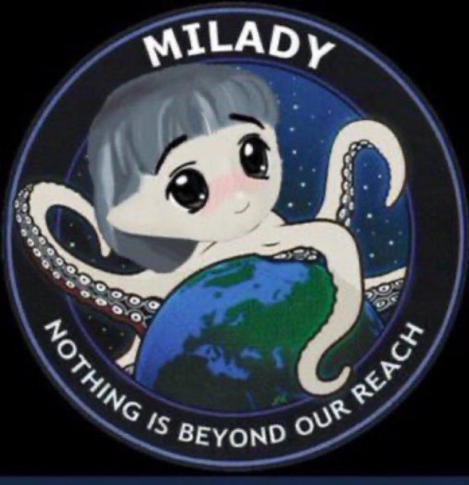 A circular patch features a cute cartoon octopus girl labeled 'MILADY' wrapped around Earth, with the slogan 'NOTHING IS BEYOND OUR REACH' on a starry background.