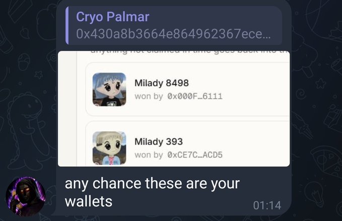 A screenshot showing NFT auction results for 'Cryo Palmar' with winners Milady 8498 and Milady 393, with overlay text asking 'any chance these are your wallets'.