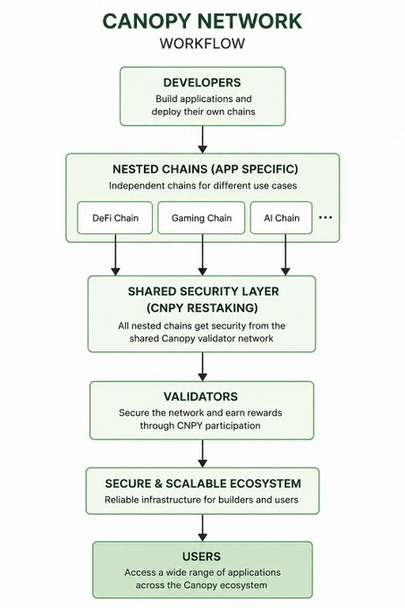 A flowchart titled 'CANOPY NETWORK WORKFLOW' showing the process flow from Developers, through Nested Chains (DeFi, Gaming, AI), Shared Security Layer, Validators, to Users.