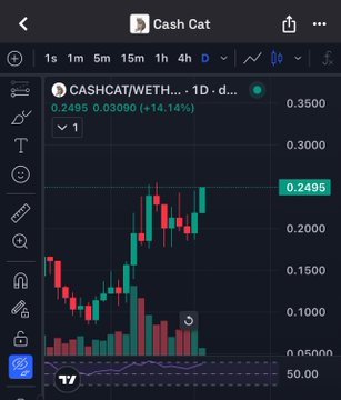 A cryptocurrency trading chart for "Cash Cat" (CASHCAT/WETH) showing a current price of 0.2495 with a +14.14% gain on a 1D timeframe.