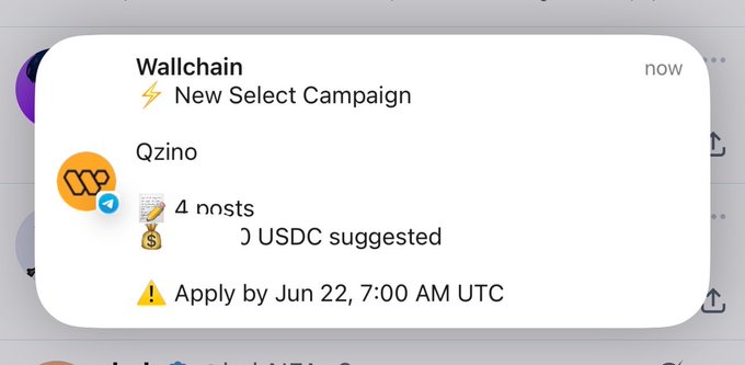 The image shows a screenshot of an email message with a white background, black text, and an orange icon that reads "Wallchain New Select Campaign QZINO 4NOSTS 3USDC Suggested Apply by June 22 7AM UTC". The main focus is on the email's subject line which says "i got picked for the wallchain campaign kek", indicating that someone has been selected to participate in a Wallchain campaign.